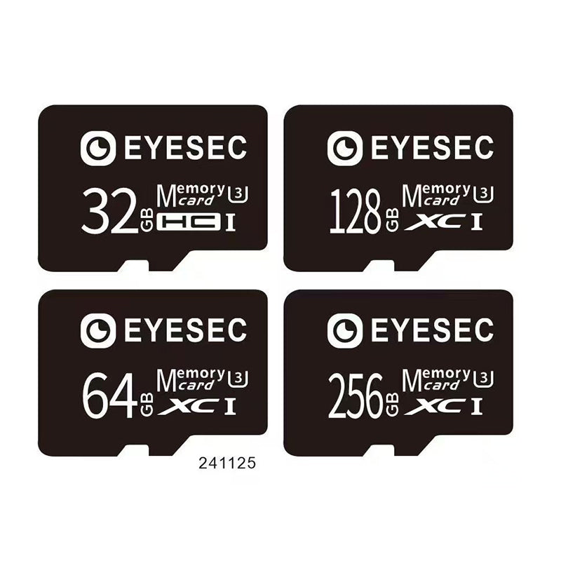 EYESEC TF Micro SD Memory Card for CCTV Camera