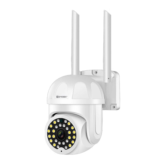 EYESEC ES0C85 Outdoor 360° Waterproof PTZ Dome Camera